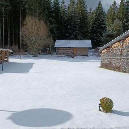 Ferienwohnung Gabi Forbach Bagian luar foto