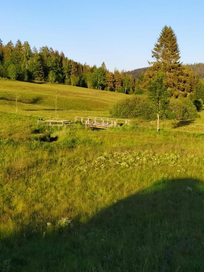 Ferienwohnung Gabi Forbach Bagian luar foto