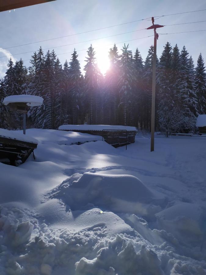 Ferienwohnung Gabi Forbach Bagian luar foto