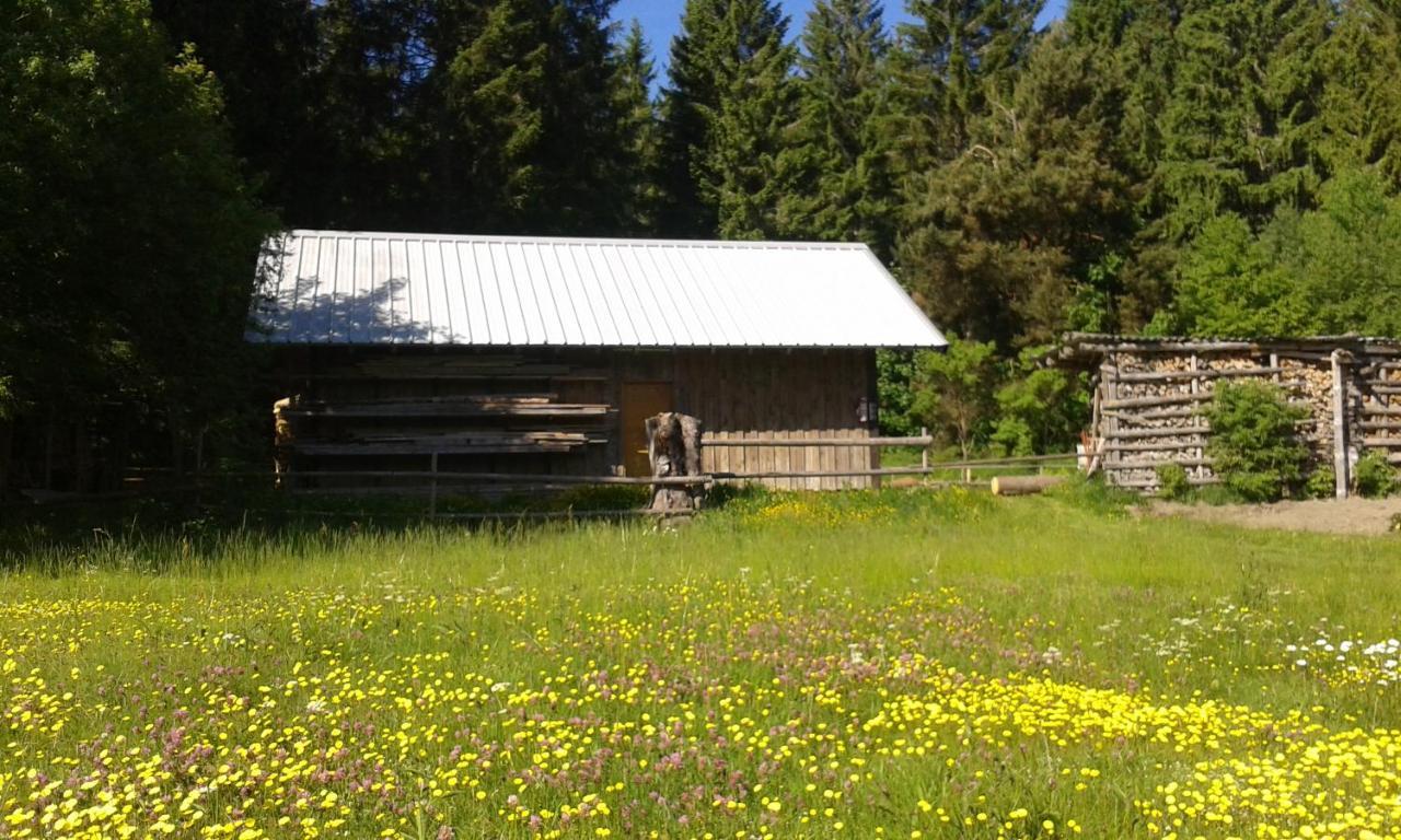 Ferienwohnung Gabi Forbach Bagian luar foto
