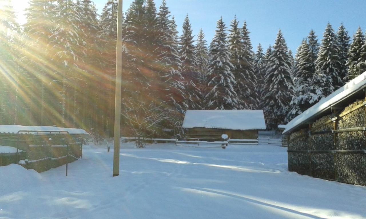 Ferienwohnung Gabi Forbach Bagian luar foto