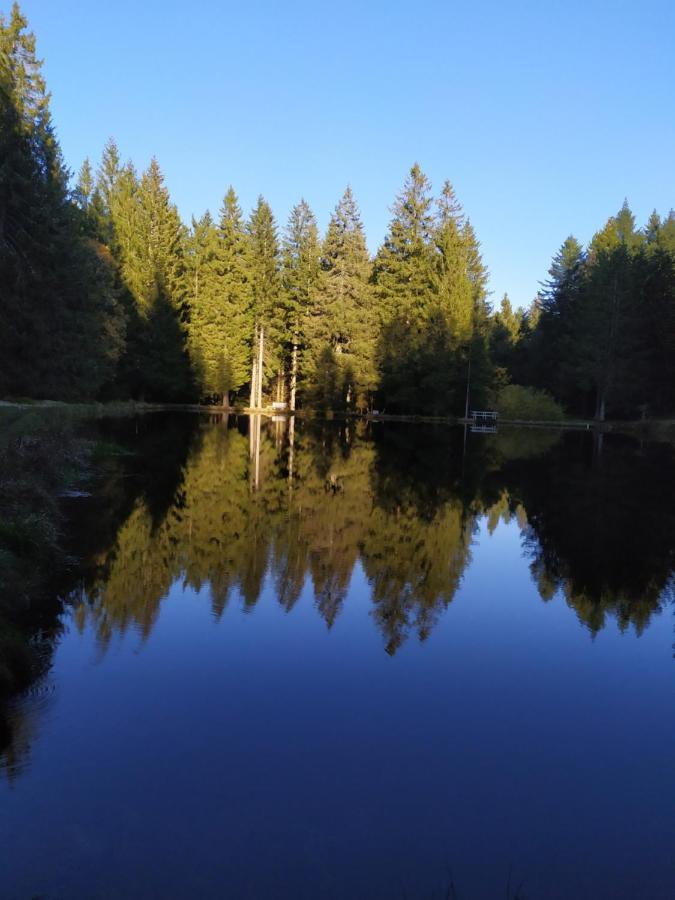 Ferienwohnung Gabi Forbach Bagian luar foto