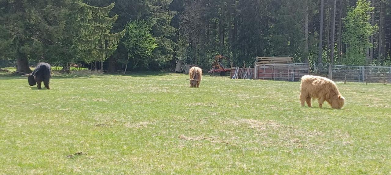 Ferienwohnung Gabi Forbach Bagian luar foto