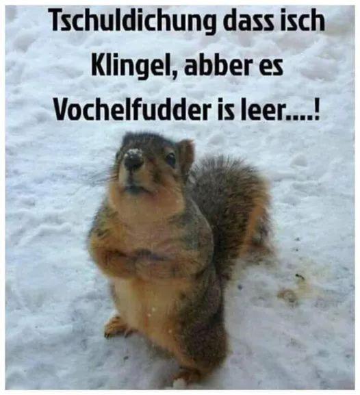 Ferienwohnung Gabi Forbach Bagian luar foto