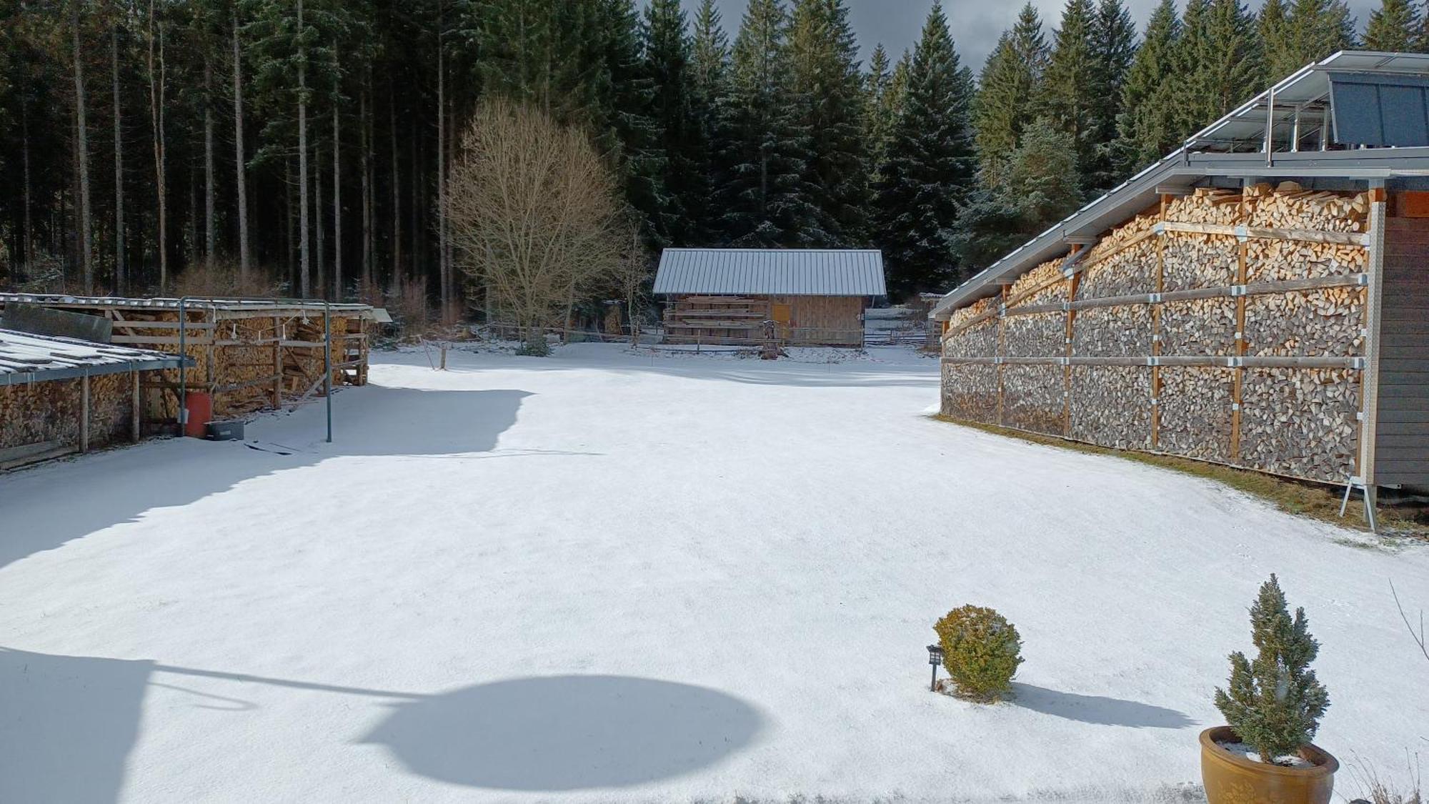 Ferienwohnung Gabi Forbach Bagian luar foto